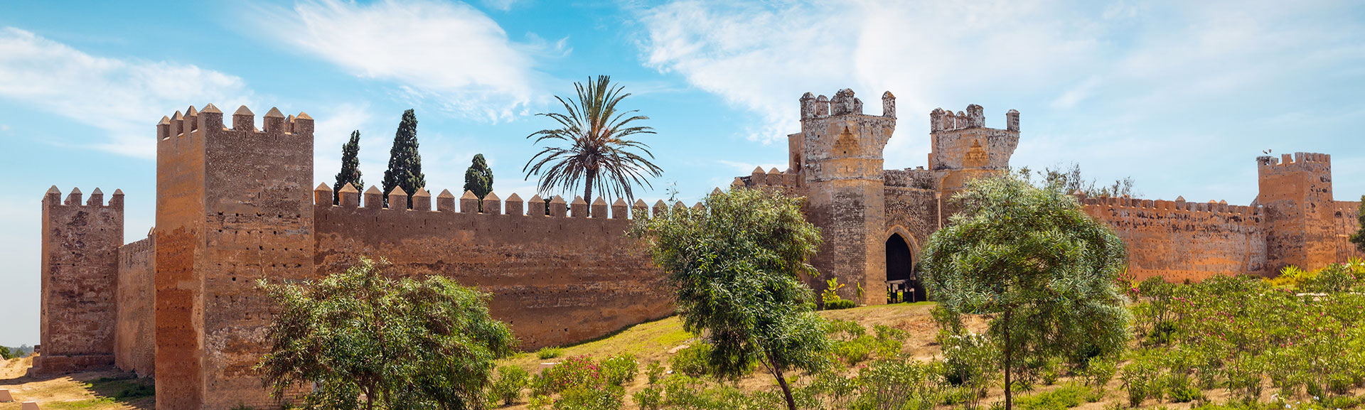Tout savoir sur Maroc Cultures